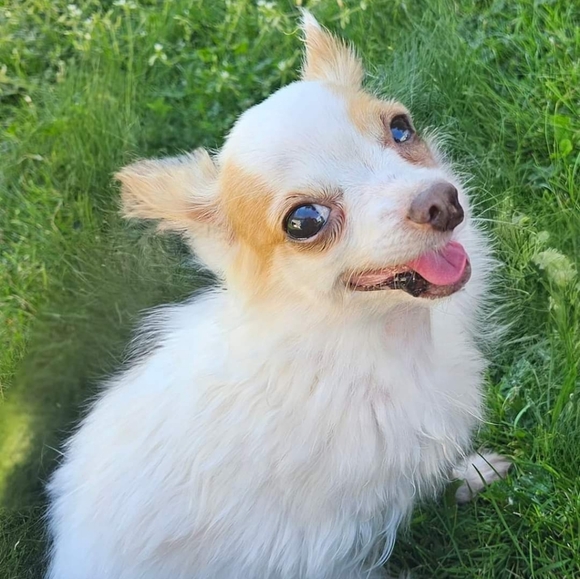 Meet your Posher, Katie - Picture 2 of 16